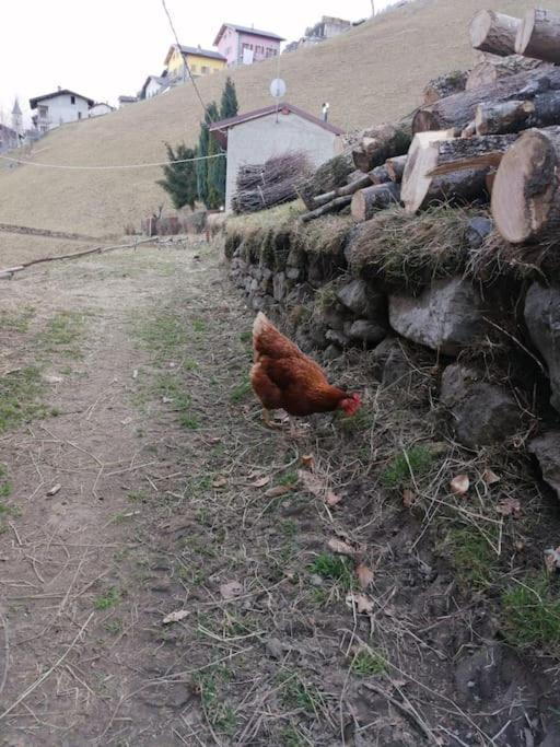 Graziosa, Casetta In Valgerola Rasura Bagian luar foto