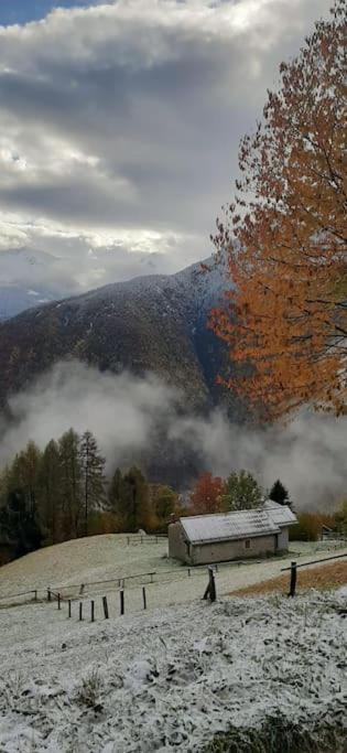 Graziosa, Casetta In Valgerola Rasura Bagian luar foto
