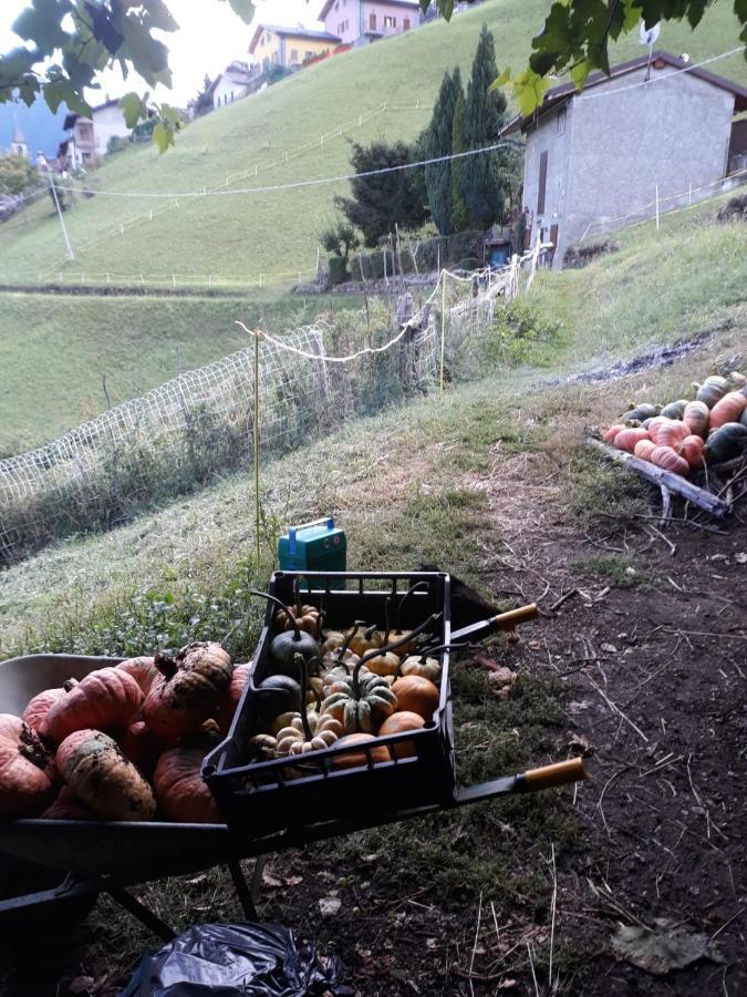 Graziosa, Casetta In Valgerola Rasura Bagian luar foto